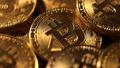 Après avoir atteint son record absolu, les raisons de la chute aussi vertigineuse que brutale du bitcoin