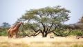 ils s’aventurent en Somalie, l’un des pays les plus risqués au monde