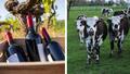 les filières agricoles françaises divisées sur l’accord Mercosur