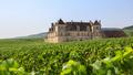 Les quatre piliers qui ont fait de la France un pays d’excellence en viticulture