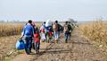 Un réseau de trafic d’êtres humains, soupçonné d’avoir acheminé 100.000 migrants, démantelé en Europe