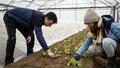 « J’aime mon job mais la proximité avec la nature me manquait » : ingénieur dans le BTP, elle travaille un jour par semaine dans une ferme