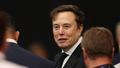 «Un flamant rose en tutu fluo» : Elon Musk attaque des magistrats français avec des propos homophobes