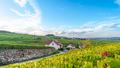 Foncier rural : une nette reprise des transactions en 2025 malgré la baisse du prix des vignobles en AOP