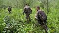Les gendarmes mobiles se sont enfoncés dans cette forêt particulièrement dense.