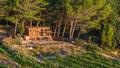 La Tiny House de Greenkub, perdue au milieu des vignes
