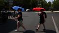Météo en France : le bulletin du 03/07 avec La Chaîne Météo