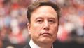 Elon Musk.