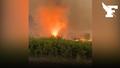 Incendie : une impressionnante tornade de feu observée près de l'incendie de Saumos en Gironde