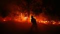 Un pompier lutte contre les flammes à Lège-Cap-Ferret, en Gironde, le 23 juillet 2026, alors qu’une sécheresse extrême favorise la propagation de l’incendie.