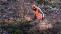 L’obligation légale de débroussaillement (OLD), qui s’applique dans certains territoires, impose de nettoyer les terrains situés à moins de 200 mètres des bois et forêts, dans un rayon de 50 mètres.