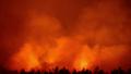 L’incendie en Gironde, ici à Arès, a ravagé près de 42.000 hectares.