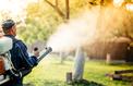 75% des Français utilisent des pesticides à la maison