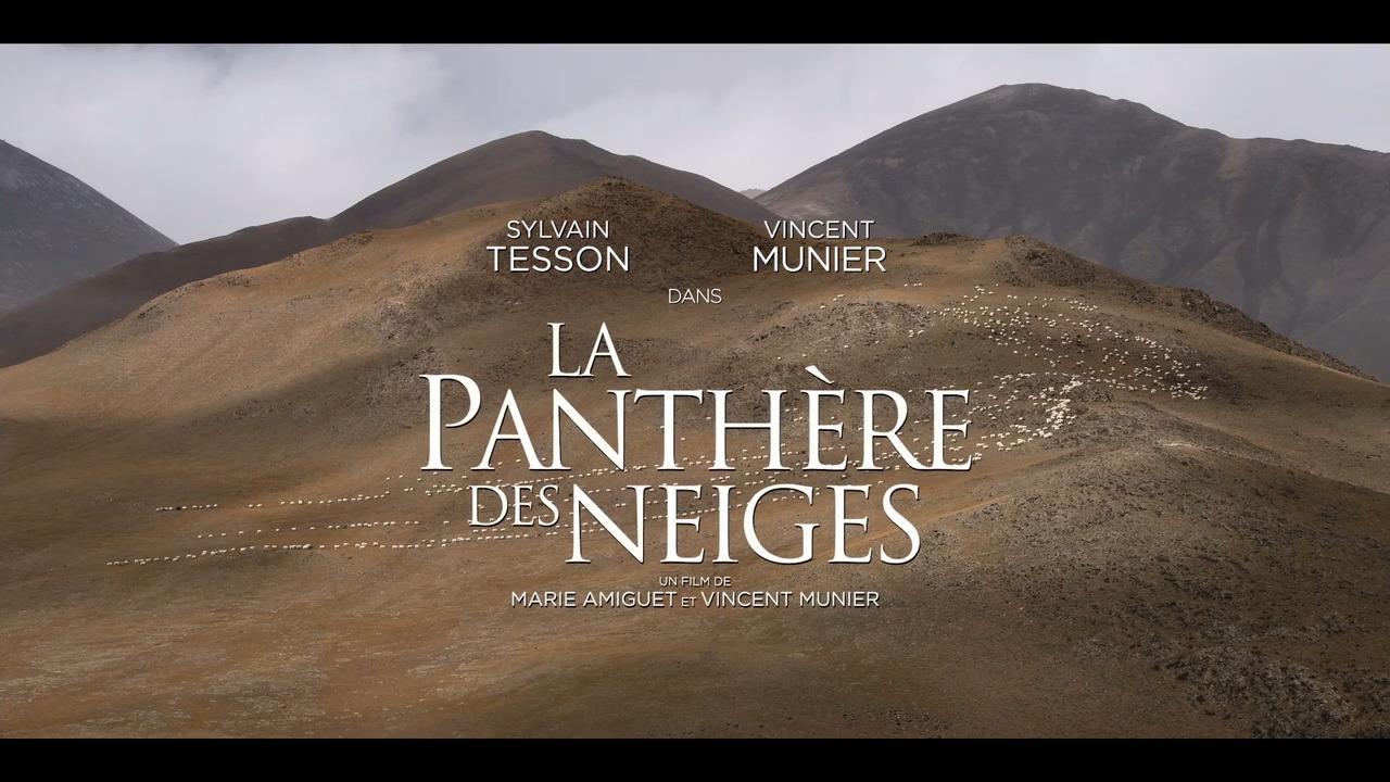 Citation Sylvain Tesson La Panthere Des Neiges Découvrez la bande-annonce de La Panthère des neiges, avec Sylvain Tesson  et Vincent Munier
