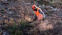 L’obligation légale de débroussaillement (OLD), qui s’applique dans certains territoires, impose de nettoyer les terrains situés à moins de 200 mètres des bois et forêts, dans un rayon de 50 mètres.