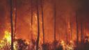 L’incendie à Saint-Jean-d'Illac, à 30 kilomètres de Bordeaux.
