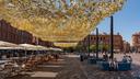 À Toulouse, la ville se vide en journée, malgré les ombrières installées (ici place du Capitole, le 9 juillet 2026).