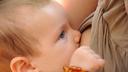 La cabergoline, un médicament utilisé pour interrompre la lactation, pourrait-il réduire le risque de cancers du sein ? Les résultats permettent de mieux comprendre les mécanismes de transformations du sein après une grossesse.