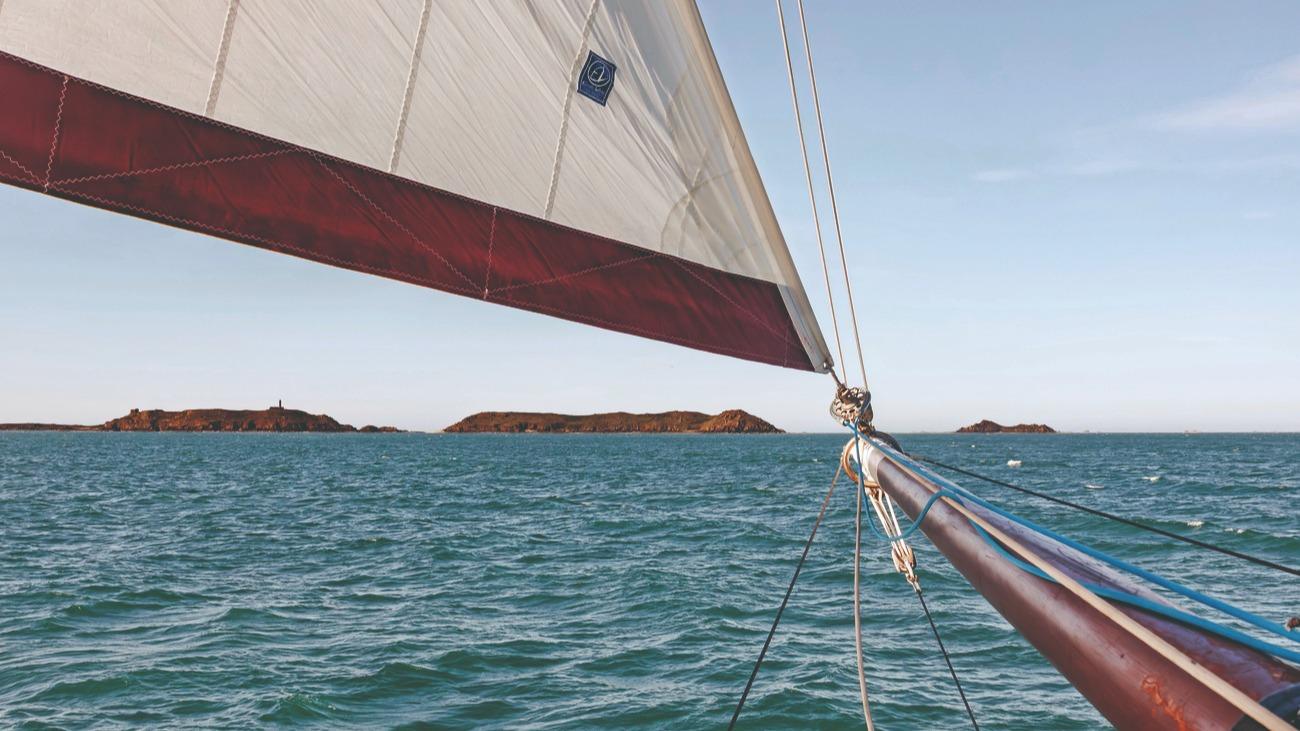 Sur les Sept-Îles de Perros-Guirec, un patrimoine naturel hors du temps et une biodiversité sauvegardée