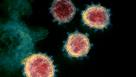Covid : le virus était probablement déjà présent en France en novembre 2019