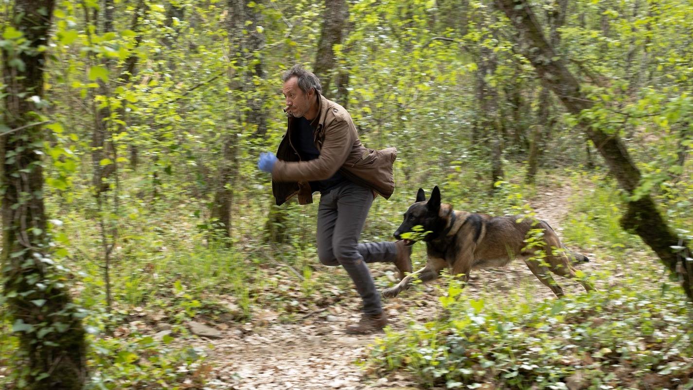 Audiences du 4 mai 2026 : France 3 devance largement TF1 avec le programme Le Voyageur — Séries TV