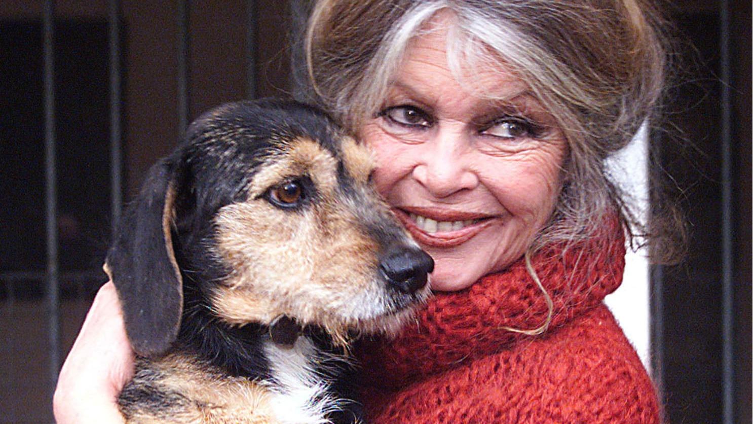 Brigitte Bardot’s Enduring Legacy as a Pioneer in Animal Rights Activism
