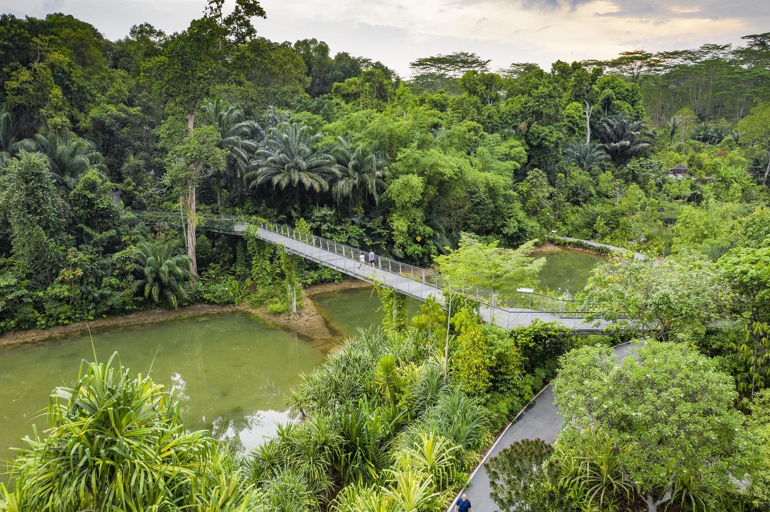 singapour de jardins suspendus en quartiers atypiques nos incontournables dans la cite etat