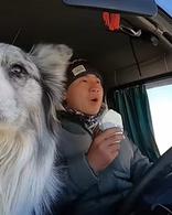 Le sort tragique de Chutou, chien star des réseaux sociaux en Chine, kidnappé, vendu à un restaurant puis mangé