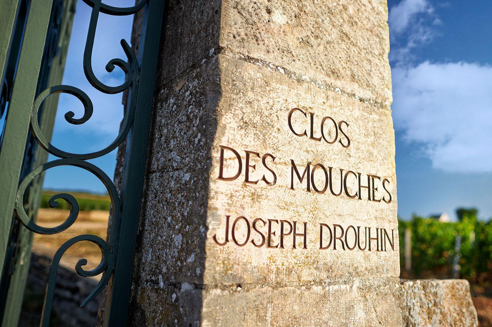 Coup de cœur pour ce bourgogne rouge accessible, frais et délicat