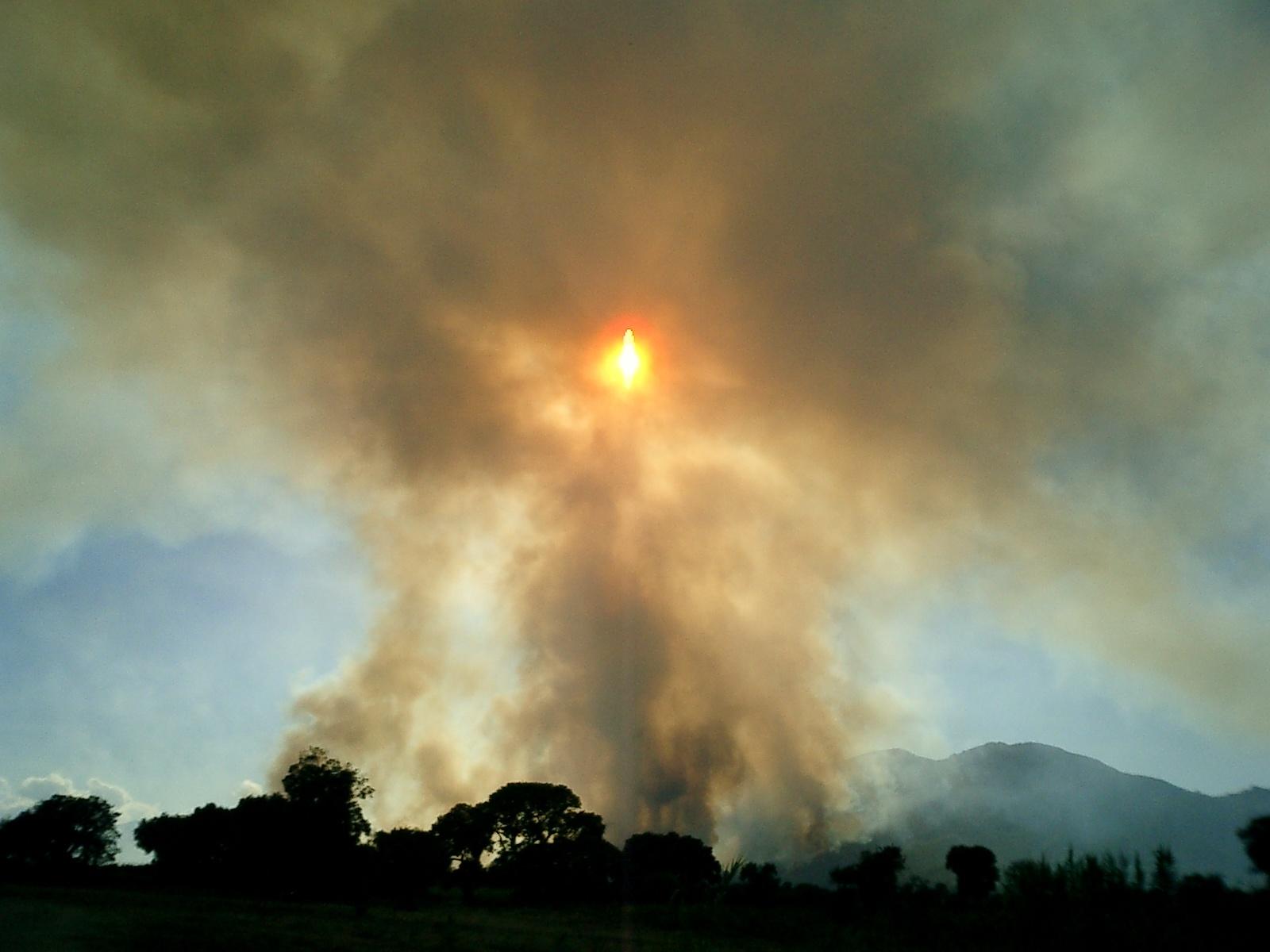 Corse : Les Deux Incendies, Désormais Maîtrisés Ont Détruit Plus De 435 Hectares