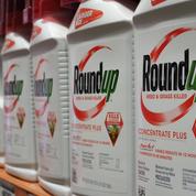 Procès Monsanto: un jury américain estime que le Roundup a contribué au cancer du plaignant
