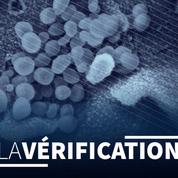 Coronavirus : la bactérie Prevotella joue-t-elle vraiment un rôle dans l'infection ?