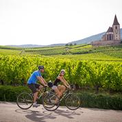 Circuits dans le vignoble ou balades au fil de l'eau... Six idées d'itinéraires à vélo à travers l'Alsace
