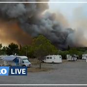 Aude : l'incendie près de Narbonne désormais éteint, près de 300 hectares ont été détruits