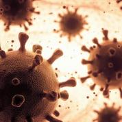 Virus : l'UE a enregistré en 2020 un record de décès depuis 60 ans