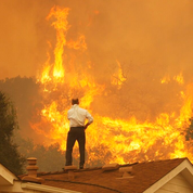 De la responsabilité des hommes dans les tragiques incendies qui ravagent la Californie