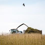 Climat: les agriculteurs français invités à augmenter le volume de «biomasse»