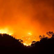 Espagne : huitième jour d'incendies en Andalousie, plus de 8000 hectares détruits