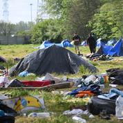 Grande-Synthe : démantèlement d'un campement de plusieurs centaines de migrants