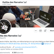 Lutte contre la cyberpropagande djihadiste : la Katiba des Narvalos, six années de combats