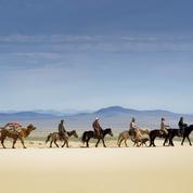Voyage en Mongolie : le guide du Figaro