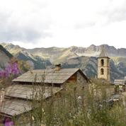 La chasse au tétras-lyre interdite dans les Hautes-Alpes