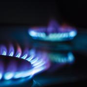 Prix du gaz : comment les fournisseurs seront dédommagés du gel des tarifs