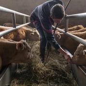 Agriculteurs : la loi Chassaigne entre en vigueur pour revaloriser les petites retraites