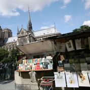 Après le Covid, la mairie de Paris recherche bouquinistes... désespérément