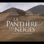 Découvrez la bande-annonce de La Panthère des neiges, avec Sylvain Tesson et Vincent Munier
