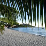 D'ici à 2080, les Antilles françaises vont connaître des sécheresses marquées