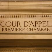Affaire Théo : la cour d'appel de Paris annonce le renvoi des policiers aux assises