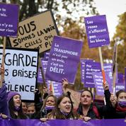 Marche #NousToutes à Paris : des heurts éclatent entre les féministes du collectif Némésis et des «antifascistes»