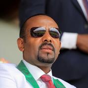L'Éthiopie affirme que son armée «va détruire» les rebelles